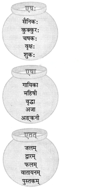 Class 6 Sanskrit Chapter 2 Diagram 13