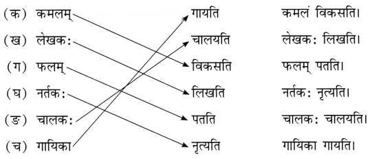 Class 6 Sanskrit Chapter 2 Diagram 17