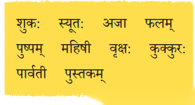 Class 6 Sanskrit Chapter 2 Diagram 3
