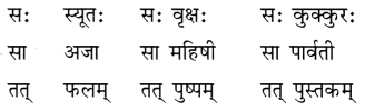 Class 6 Sanskrit Chapter 2 Diagram 4