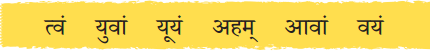 Class 6 Sanskrit Chapter 3 Diagram 1