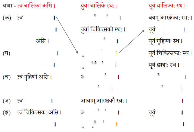Class 6 Sanskrit Chapter 3 Diagram 18