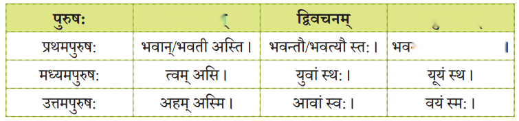 Class 6 Sanskrit Chapter 3 Diagram 22