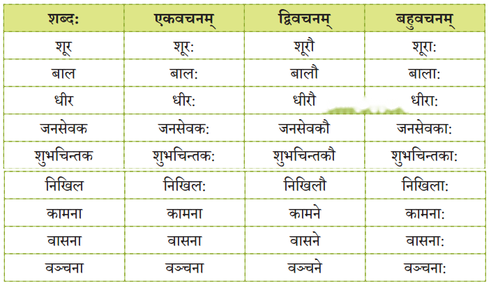 Class 6 Sanskrit Chapter 5 Diagram 7