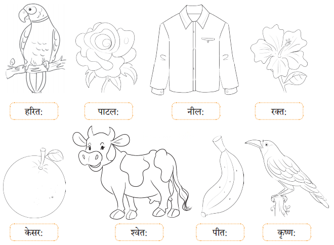 Class 6 Sanskrit Chapter 6 Diagram 3