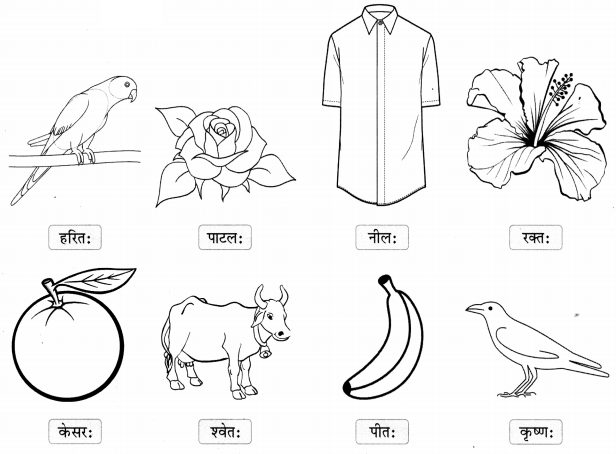 Class 6 Sanskrit Chapter 6 Diagram 4