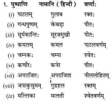 Class 6 Sanskrit Chapter 6 Diagram 9