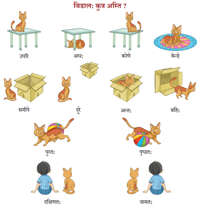 Class 6 Sanskrit Chapter 7 Diagram 9