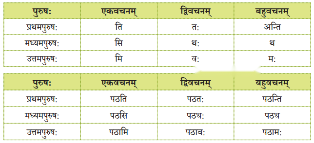 Class 6 Sanskrit Chapter 8 Diagram 8