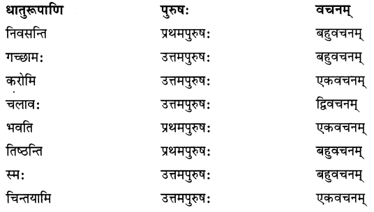 Class 6 Sanskrit Chapter 8 Diagram 9