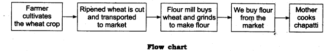 The Wonderful World of Science Diagram 2
