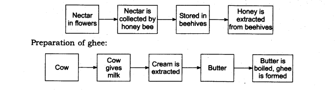The Wonderful World of Science Diagram 3