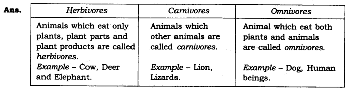 The Wonderful World of Science Diagram 4