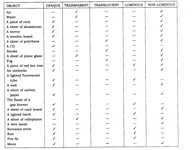 Nature s Treasures Diagram 11