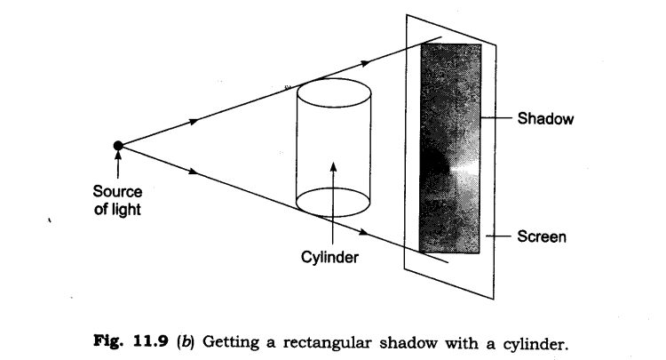 Nature s Treasures Diagram 13