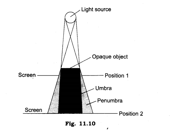 Nature s Treasures Diagram 14
