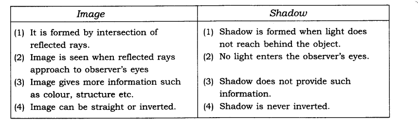 Nature s Treasures Diagram 15