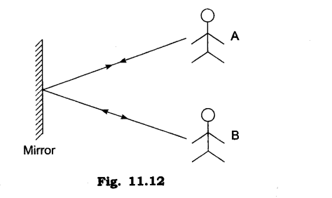 Nature s Treasures Diagram 18