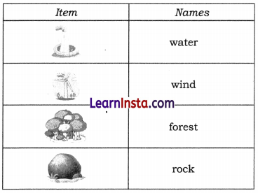 Nature s Treasures Diagram 2
