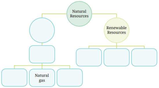 Nature s Treasures Diagram 5