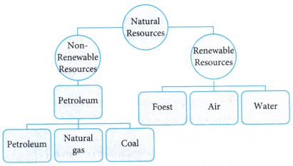 Nature s Treasures Diagram 6