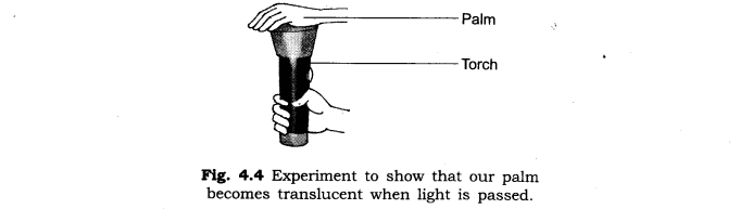 Exploring Magnets Diagram 18