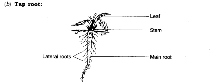 Temperature and its Measurement Diagram 12