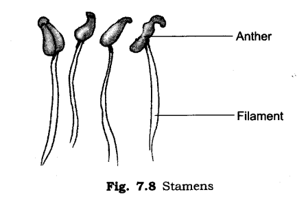 Temperature and its Measurement Diagram 17