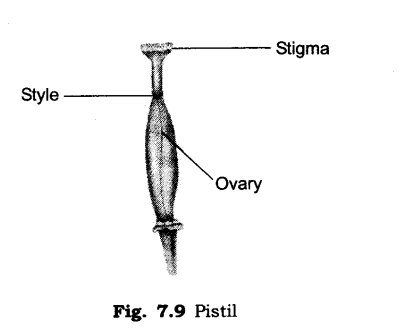 Temperature and its Measurement Diagram 18