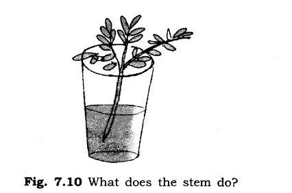 Temperature and its Measurement Diagram 19