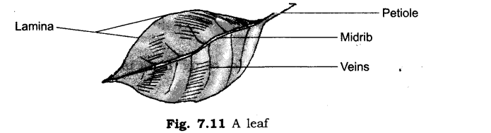Temperature and its Measurement Diagram 20