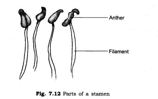 Temperature and its Measurement Diagram 21