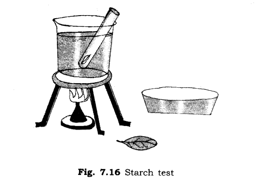 Temperature and its Measurement Diagram 26