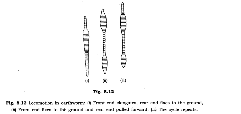 A Journey through States of Water Diagram 6
