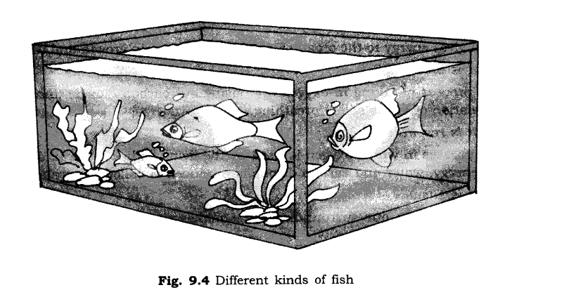 Methods of Separation in Everyday Life Diagram 3