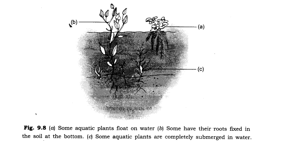 Methods of Separation in Everyday Life Diagram 7