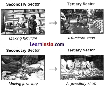 Economic Activities Around Us Class 6 Diagram 1