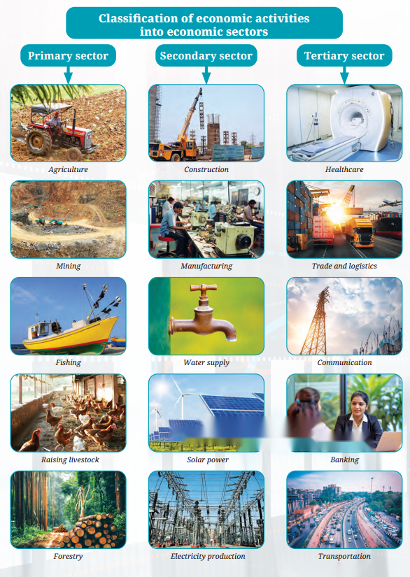 Economic Activities Around Us Class 6 Diagram 2
