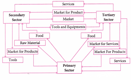 Economic Activities Around Us Class 6 Diagram 3
