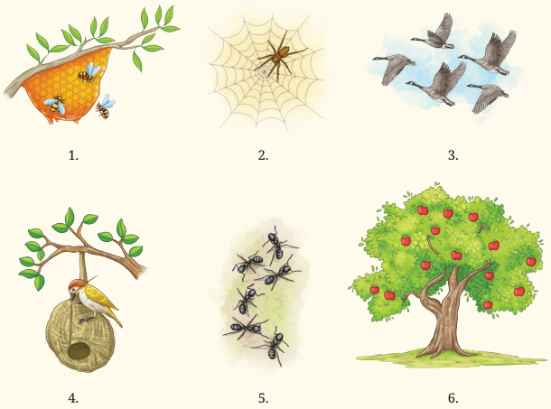 Try Again Diagram 1