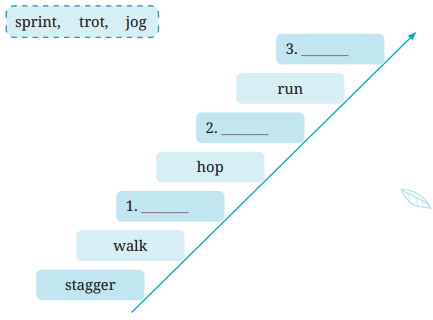 A Funny Man Diagram 6