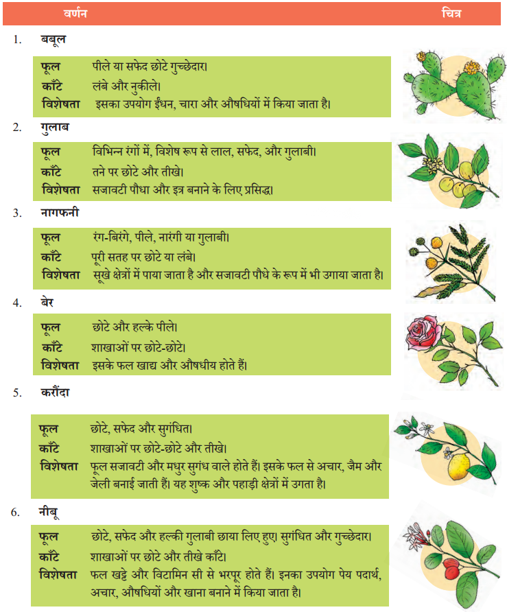 Class 7 Hindi Chapter 3 Diagram 25
