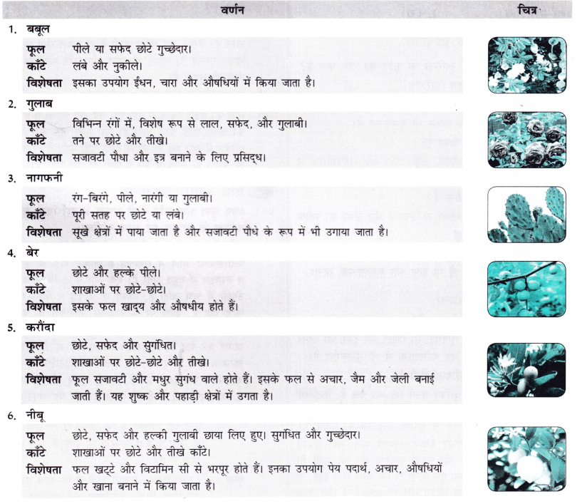 Class 7 Hindi Chapter 3 Diagram 26