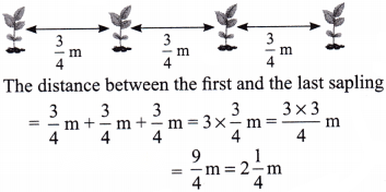 Working with Fractions Diagram 11