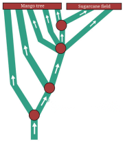 Working with Fractions Diagram 24