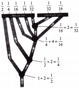 Working with Fractions Diagram 25