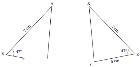 Geometric Twins Diagram 10
