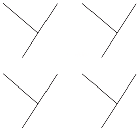 Geometric Twins Diagram 5