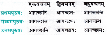 Class 7 Sanskrit Chapter 1 Diagram 14
