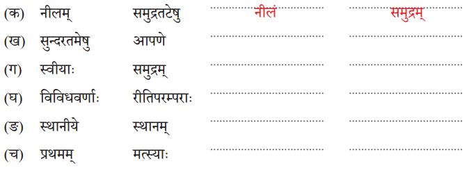 Class 7 Sanskrit Chapter 11 Diagram 3